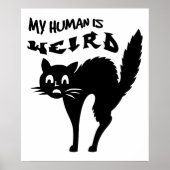 Katzenjacke Poster (Vorne)