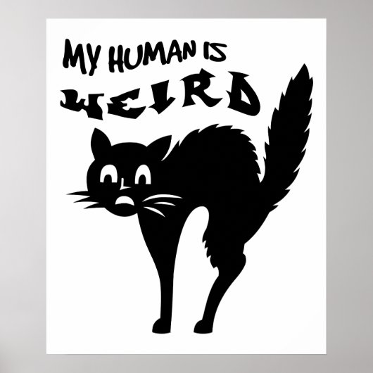 Katzenjacke Poster (Vorne)