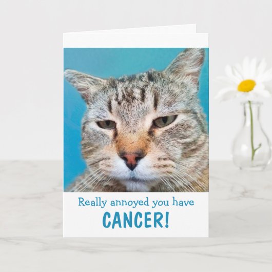 Katzenjammer bei Krebs Funny Karte (Kleine Pflanze)