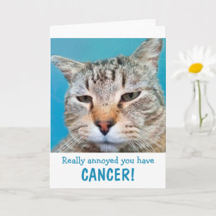 Katzenjammer bei Krebs Funny Karte
