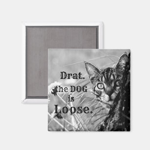 Katzenjammer, Drat, der Hund ist lose. Magnet
