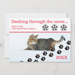 Katzenjammer durch den Schnee - Weihnachtskarte Feiertagskarte