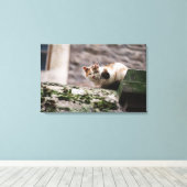 Katzenjammer Leinwanddruck (Insitu (Holzboden))