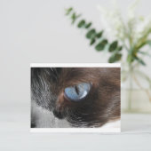 Katzenjammer Postkarte (Stehend Vorderseite)