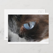 Katzenjammer Postkarte (Vorne/Hinten)