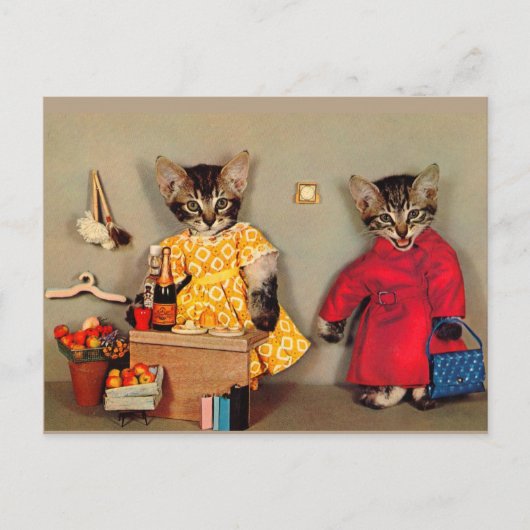 Katzenjammer und Kasse Postkarte (Vorderseite)