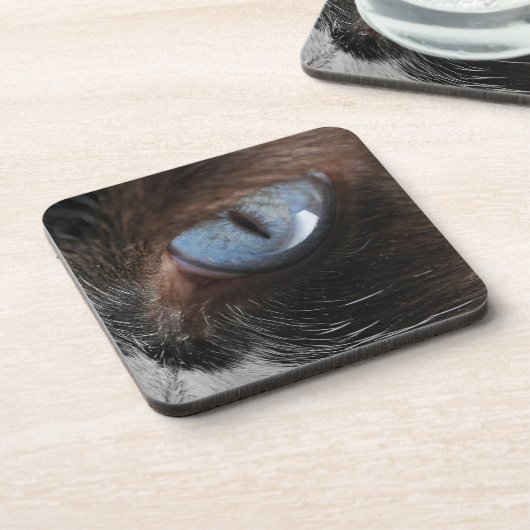 Katzenjammer Untersetzer (Linke Seite)