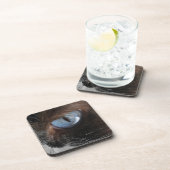 Katzenjammer Untersetzer (Rechte Seite)