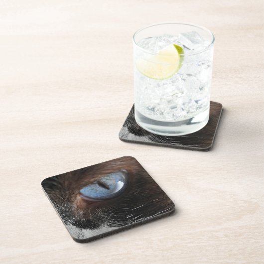 Katzenjammer Untersetzer (Rechte Seite)