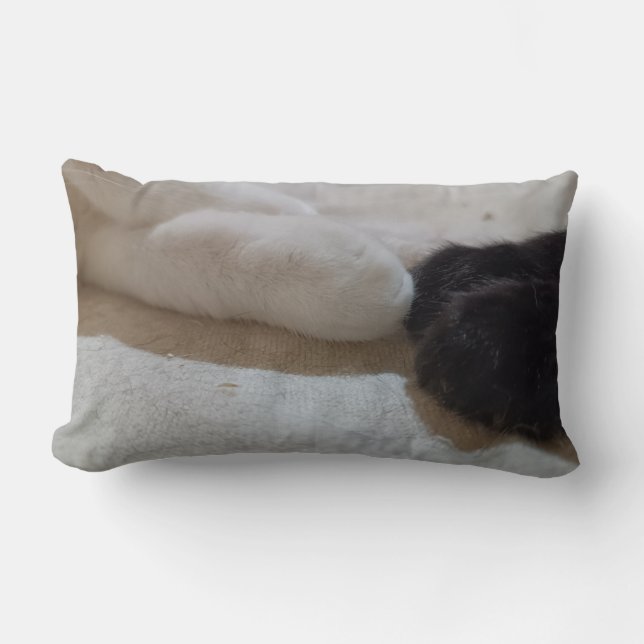 Katzenjunge Lendenkissen (Vorderseite)