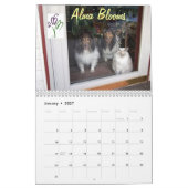 Katzenkalender 2012 kalender (Jan 2027)