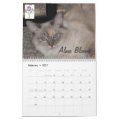 Katzenkalender 2012 kalender (Feb 2027)
