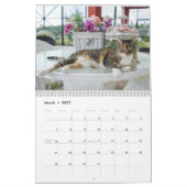 Katzenkalender 2023 kalender (Mär 2027)