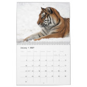 Katzenkalender 2023 kalender (Jan 2027)