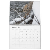 Katzenkalender 2023 kalender (Feb 2027)