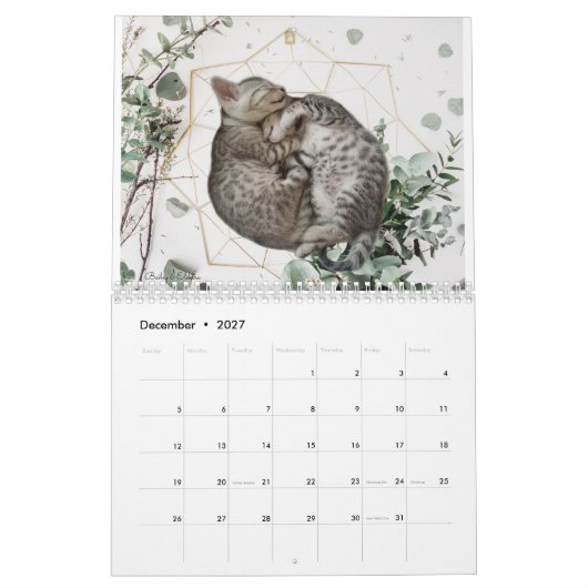 Katzenkalender 2023 kalender (Dez 2027)