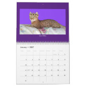 Katzenkalender 2023 kalender (Jan 2027)