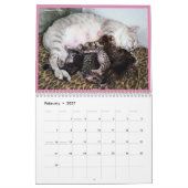 Katzenkalender 2023 kalender (Feb 2027)