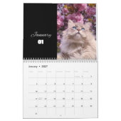 Katzenkalender 2024 - moderner Schnittkalender Kalender (Jan 2027)