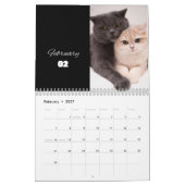 Katzenkalender 2024 - moderner Schnittkalender Kalender (Feb 2027)