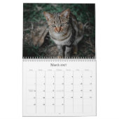 Katzenkalender 2026 kalender (Mär 2027)