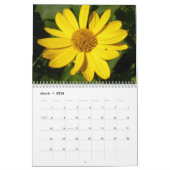 Katzenkalender für 2021 kalender (Mär 2026)