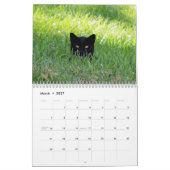 Katzenkalender Kalender (Mär 2027)