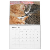 Katzenkalender Kalender (Feb 2027)