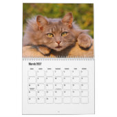 Katzenkalender Kalender (Mär 2027)