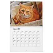 Katzenkalender Kalender (Feb 2027)