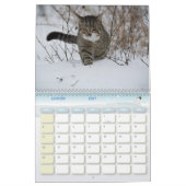 Katzenkalender Kalender (Jan 2027)