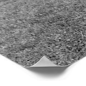 Katzenkampf, Anfang des 19. Jahrhunderts Poster (Ecke)