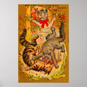 Katzenkampf Poster