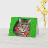 Katzenkarte Karte (Gelbe Blume)