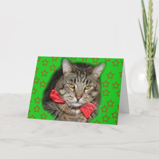 Katzenkarte Karte (Vorderseite)