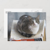 Katzenkasten Postkarte (Vorne/Hinten)