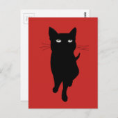 Katzenkätzchen Postkarte (Vorne/Hinten)