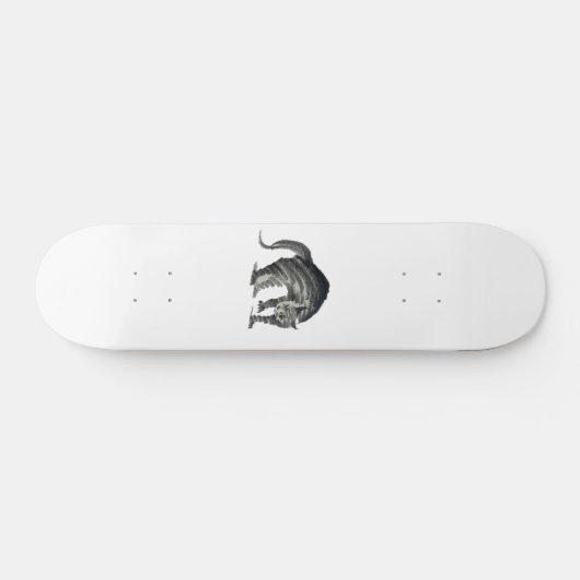 Katzenkatze abstrakt skateboard (Horizontal)
