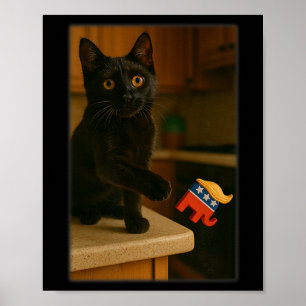 Katzenkatze, die Trump von der Gegenüberstellung a Poster