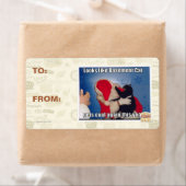 Katzenkatze erhält Kohle (Insitu)