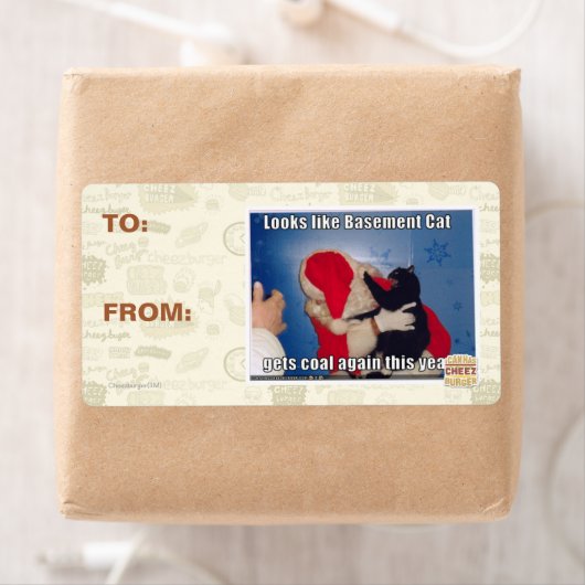 Katzenkatze erhält Kohle (Insitu)