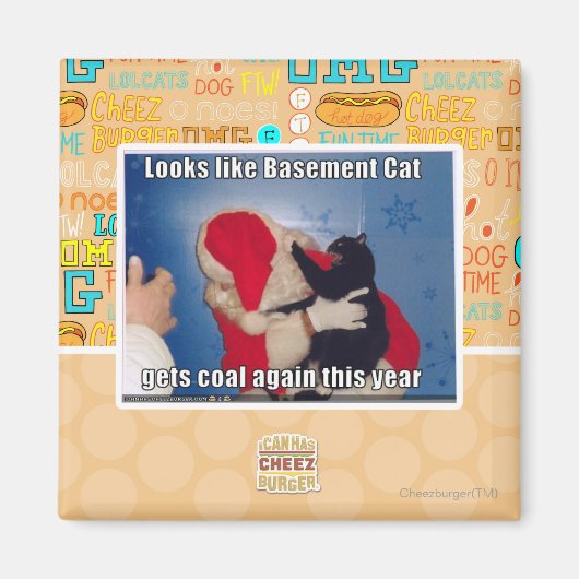 Katzenkatze erhält Kohle Magnet (Vorne)