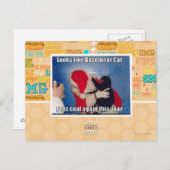 Katzenkatze erhält Kohle Postkarte (Vorne/Hinten)