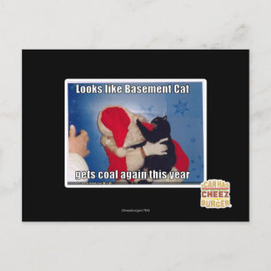 Katzenkatze erhält Kohle Postkarte