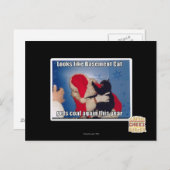 Katzenkatze erhält Kohle Postkarte (Vorne/Hinten)