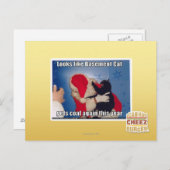 Katzenkatze erhält Kohle Postkarte (Vorne/Hinten)