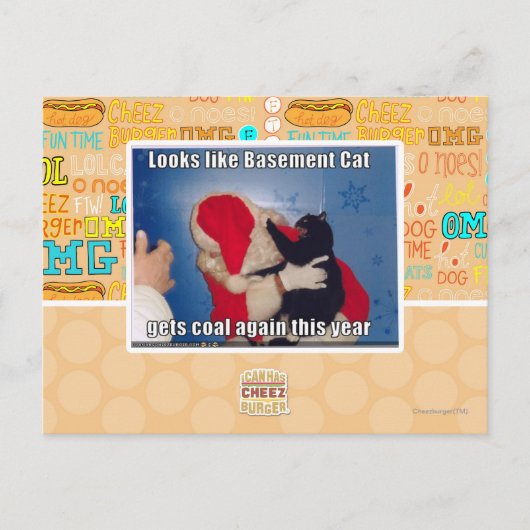 Katzenkatze erhält Kohle Postkarte (Vorderseite)