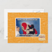 Katzenkatze erhält Kohle Postkarte (Vorne/Hinten)