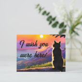 Katzenkatze im Sonnenuntergang Postkarte (Stehend Vorderseite)