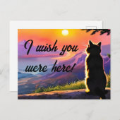 Katzenkatze im Sonnenuntergang Postkarte (Vorne/Hinten)